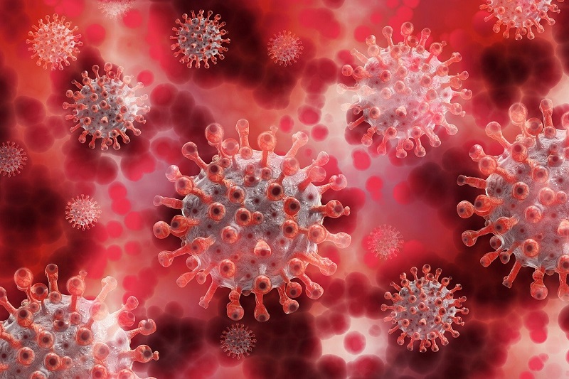 Pandemia compromete os custos com Funerais